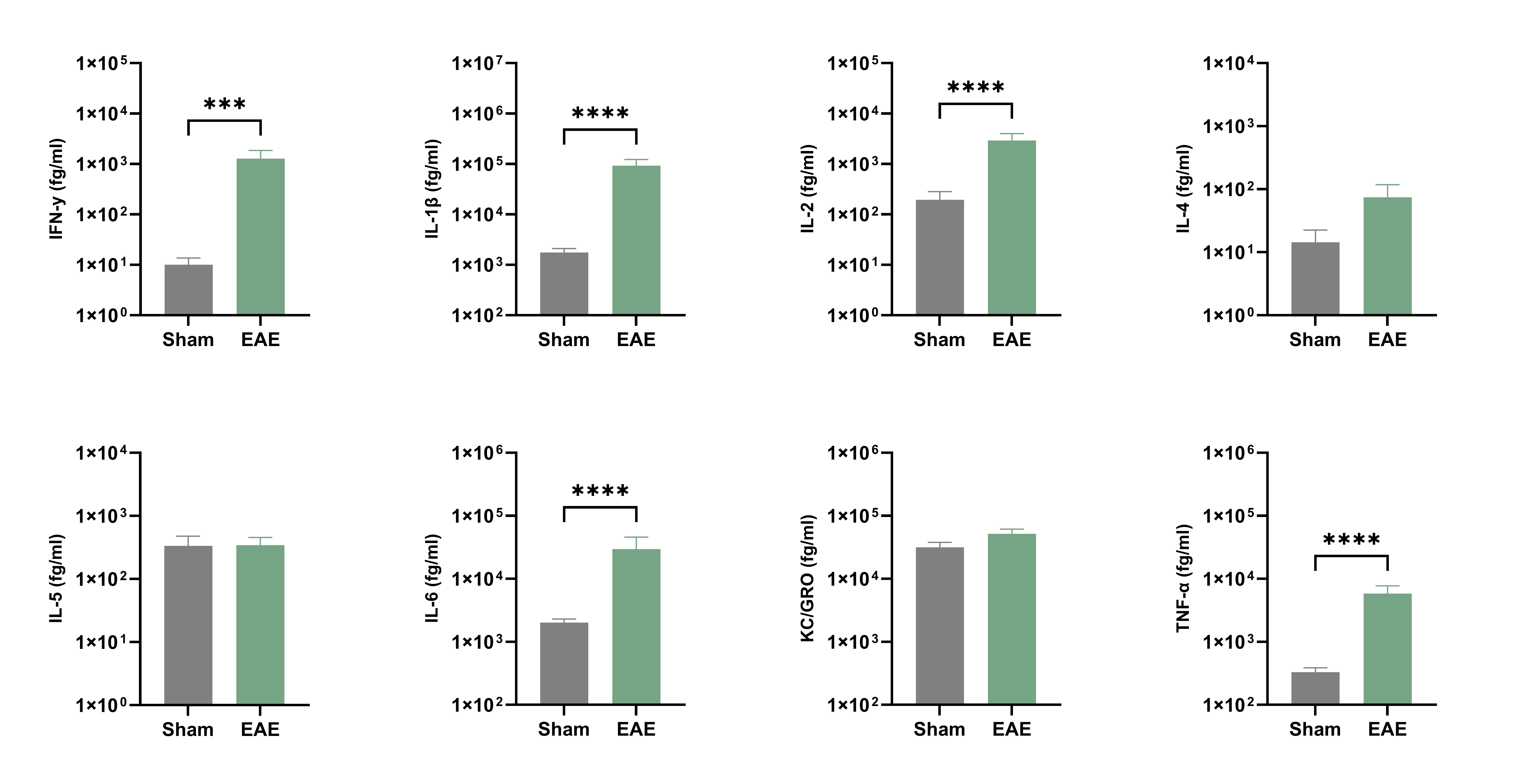 Spinal cord homogenate cytokine concentrations in EAE vs. Sham